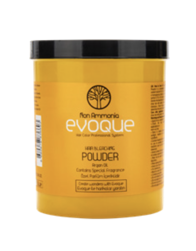 EVOQUE - BLONDIERUNG PUDER - BLEACHING POWDER 500ml