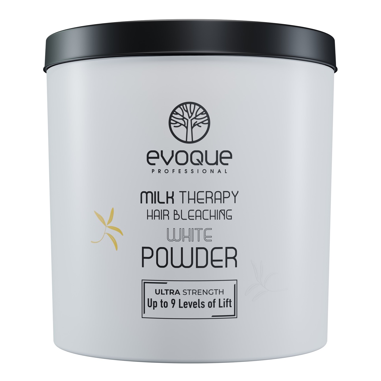 EVOQUE PROFESSIONAL - BLONDIERUNG PUDER- BLEACHING POWDER 1000ml